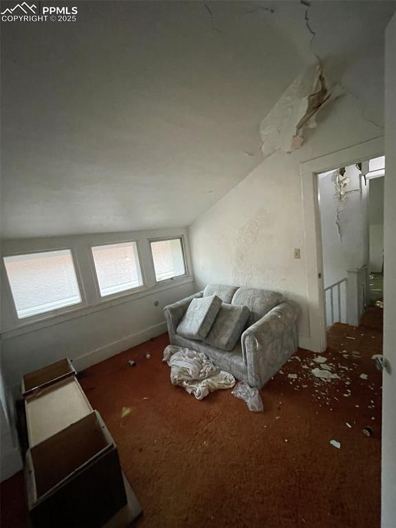 Image 17 of 36: Other