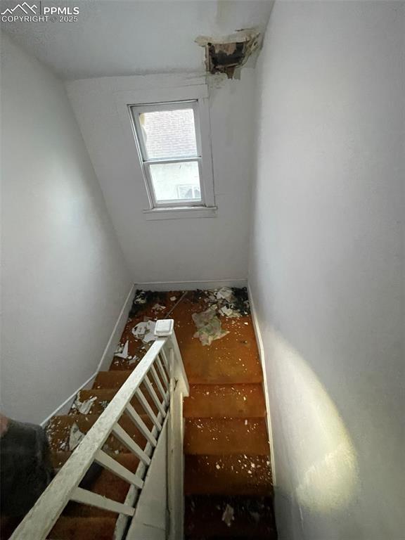 Image 19 of 36: Other