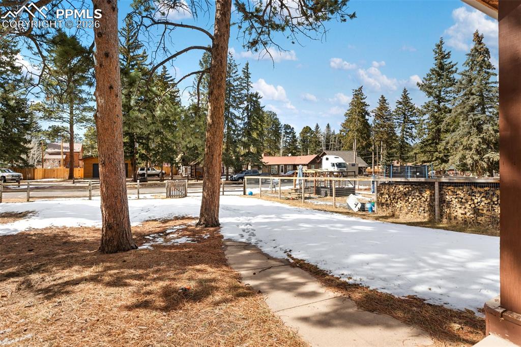 Image 40 of 49: Yard