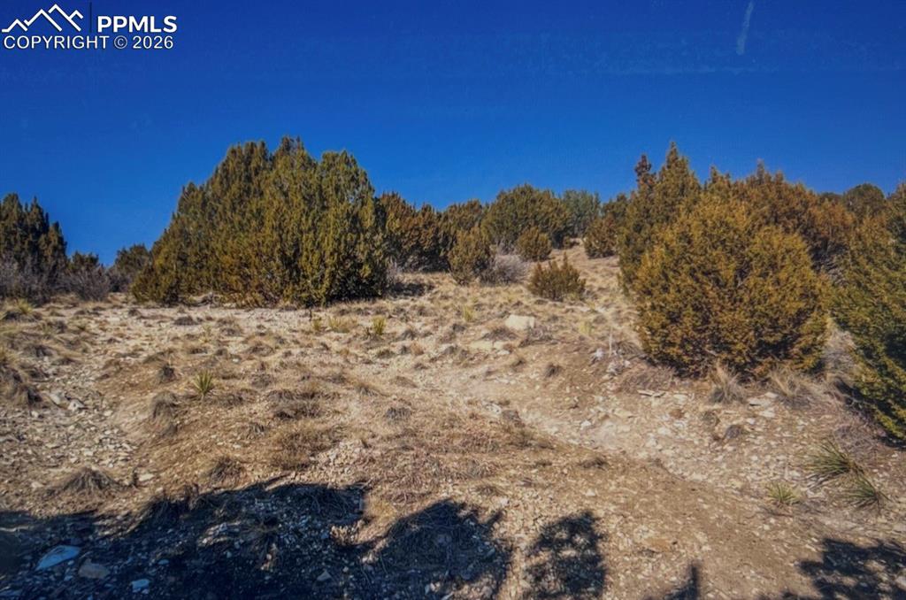 Image 15 of 17: No Description Available