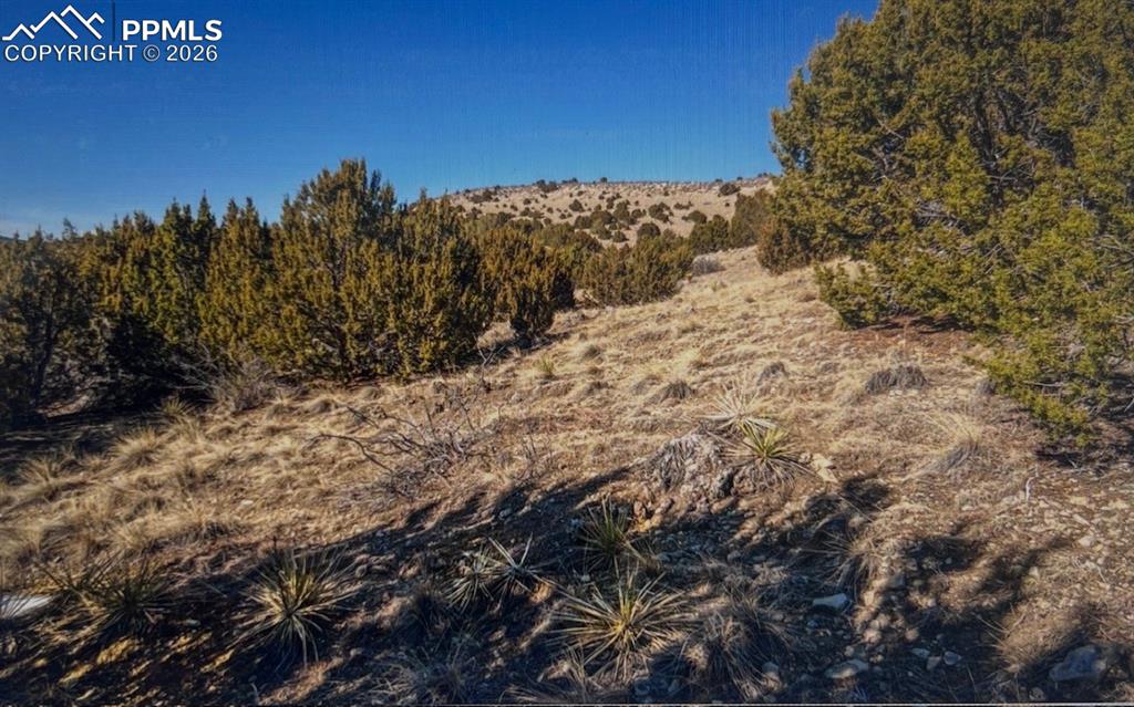 Image 16 of 17: No Description Available