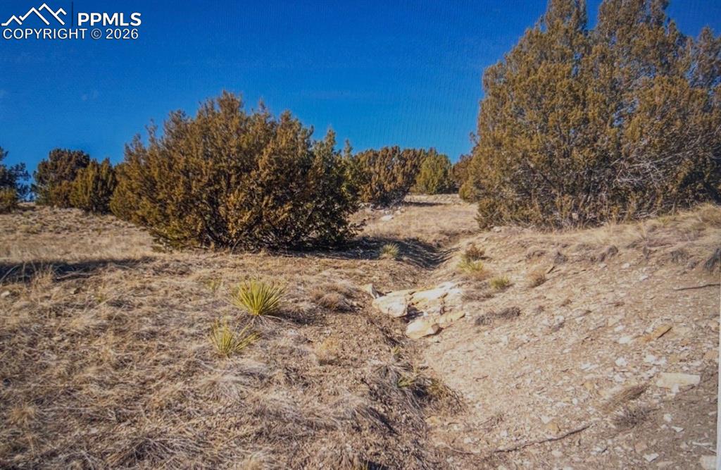 Image 17 of 17: No Description Available