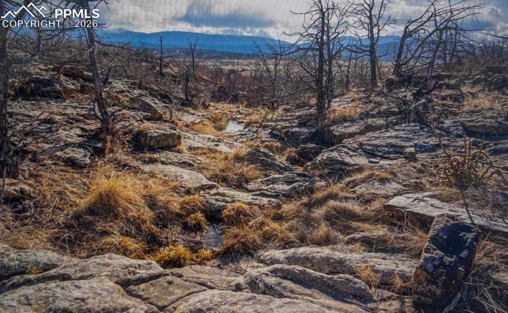 Image 5 of 17: No Description Available