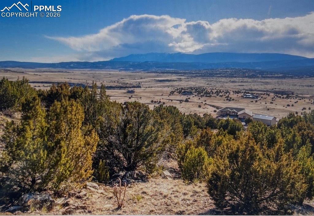 Image 6 of 17: No Description Available