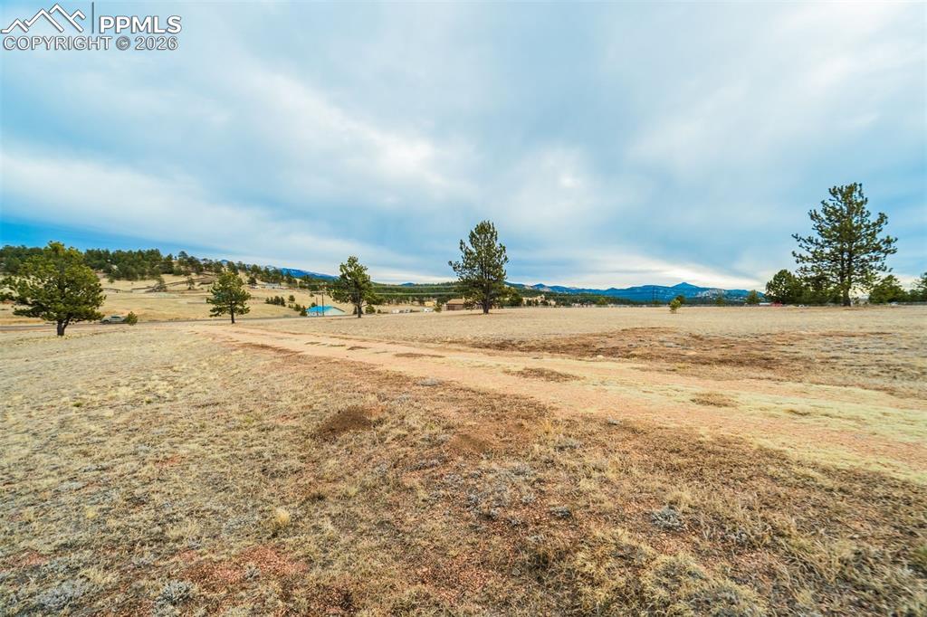 Image 10 of 25: Yard