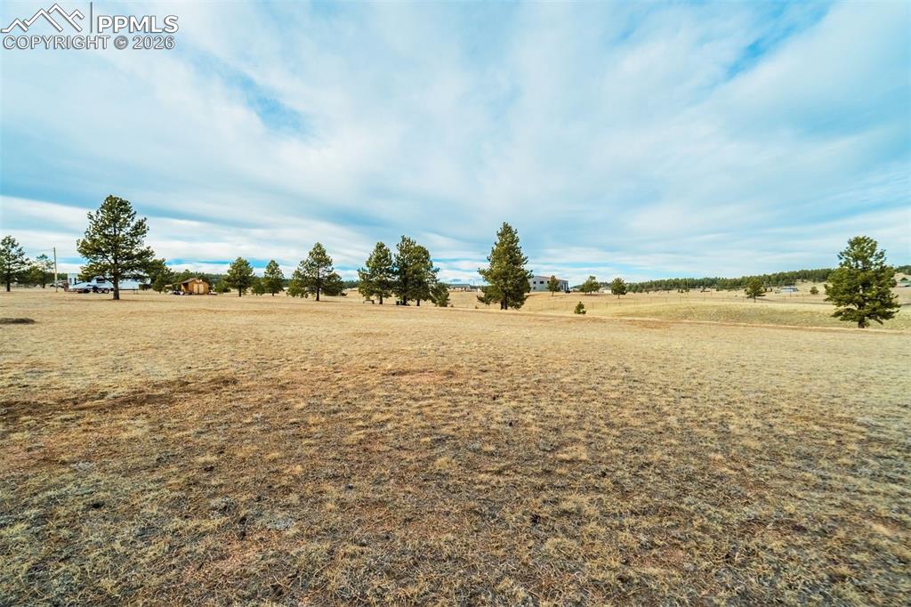 Image 11 of 25: Yard