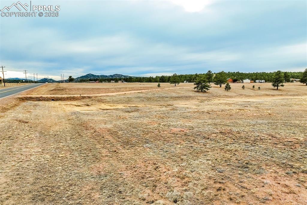 Image 13 of 25: Yard