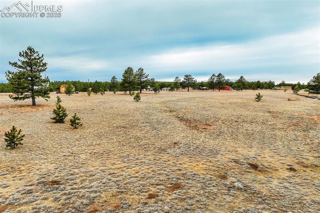 Image 14 of 25: Yard