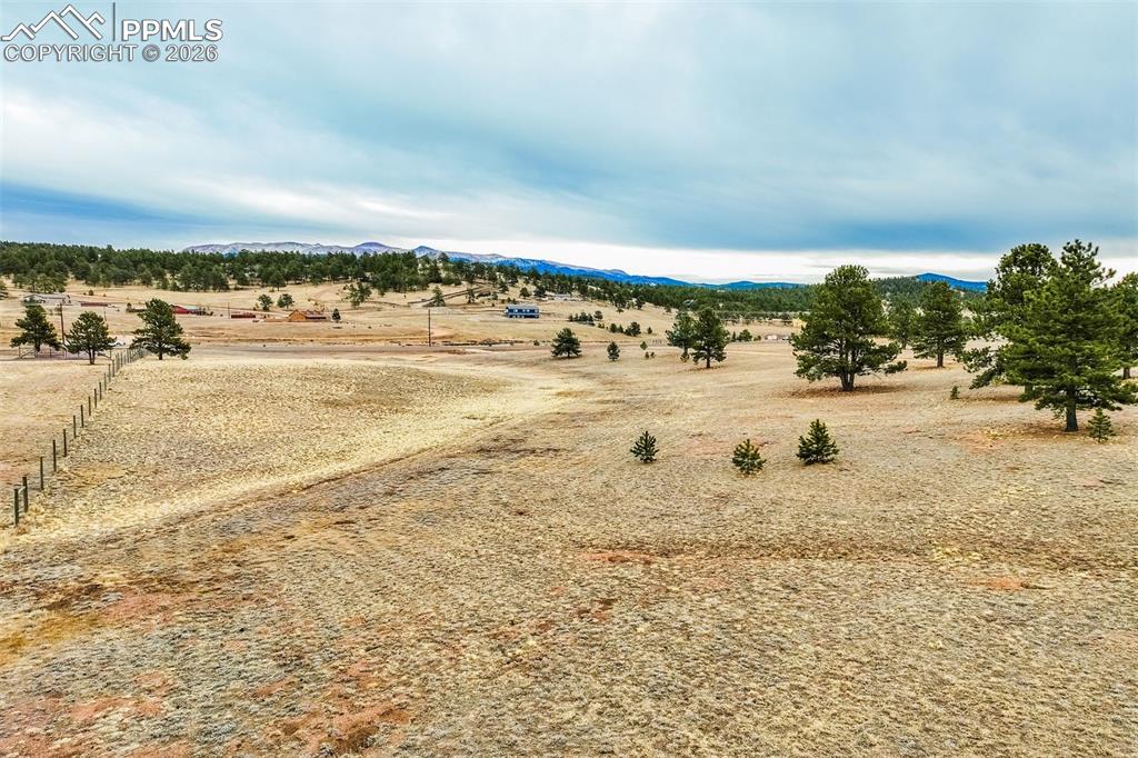 Image 16 of 25: Other