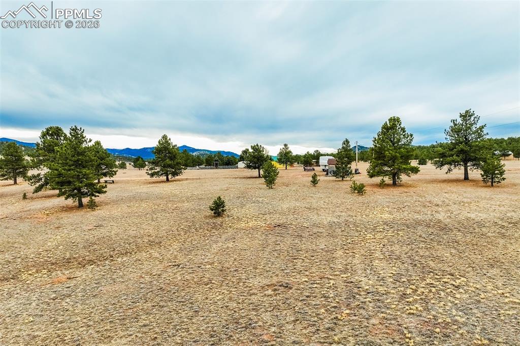 Image 17 of 25: Yard