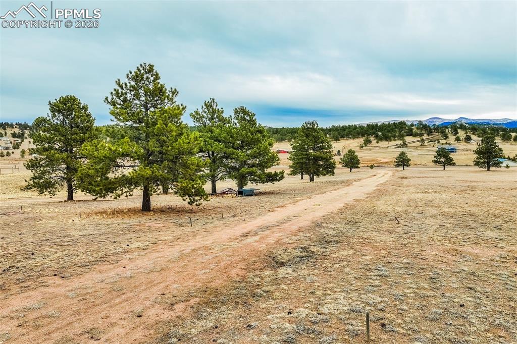 Image 18 of 25: Community