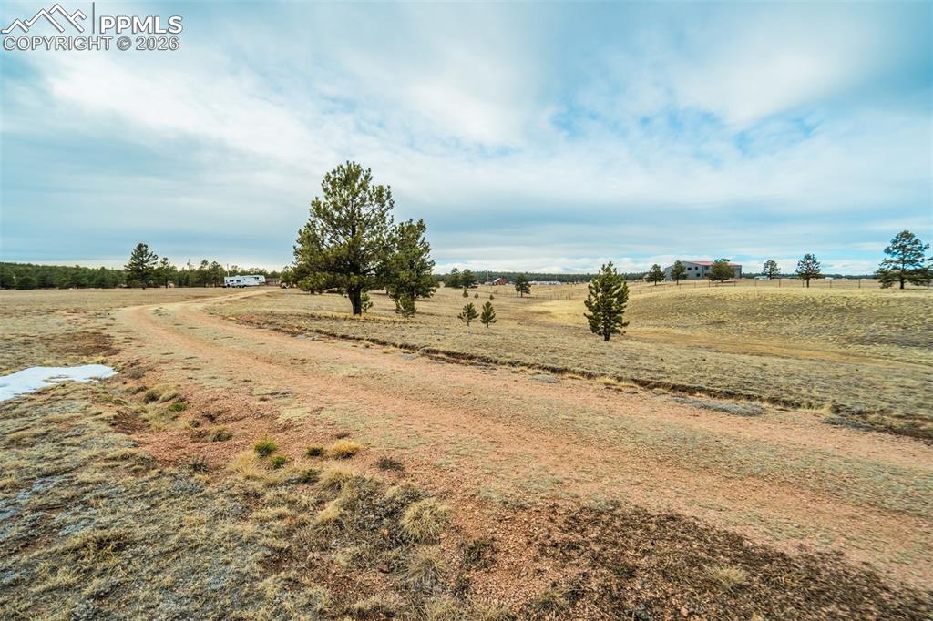 Image 8 of 25: Other