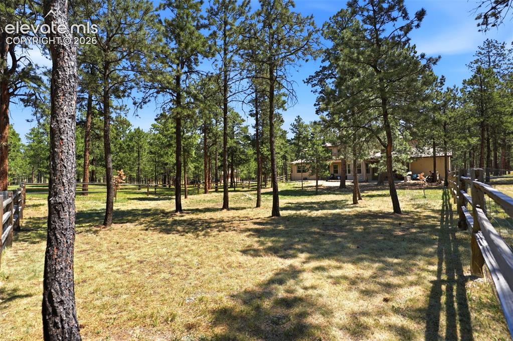 Image 44 of 50: large fenced area within the acreage for kids/pets