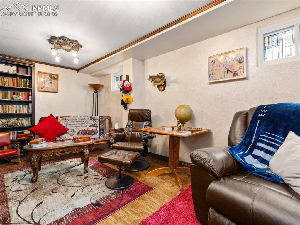 Image 21 of 50: Basement bedroom currently being used as a library