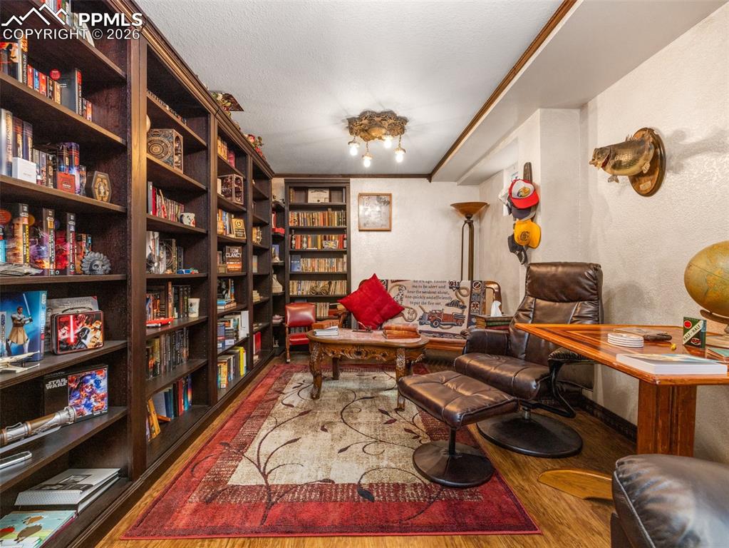 Image 22 of 50: Basement bedroom currently being used as a library
