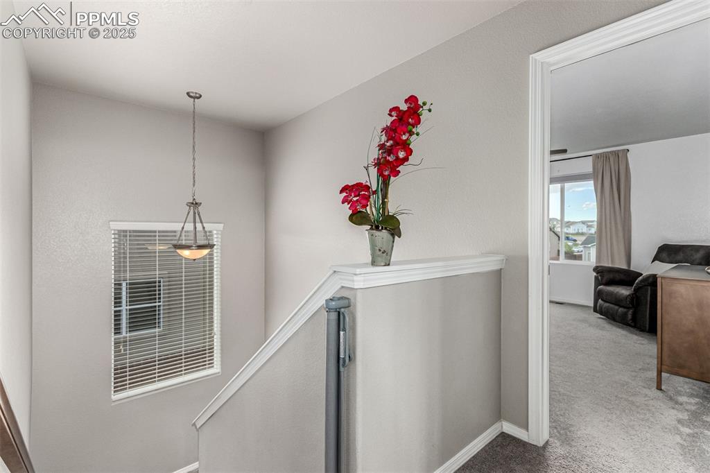 Image 16 of 41: Corridor with an upstairs landing and carpet
