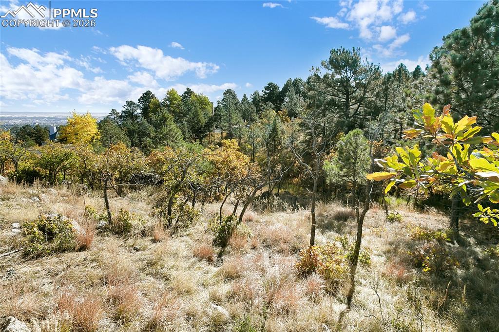 Image 10 of 19: Other