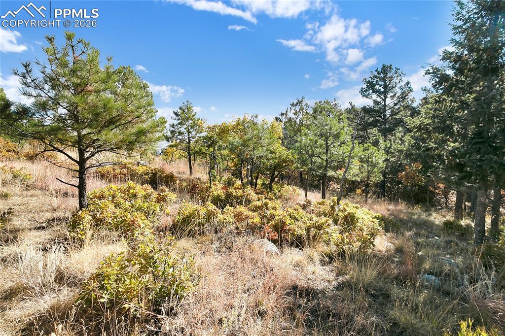 Image 14 of 19: Other