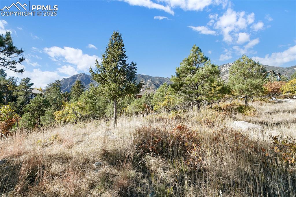 Image 15 of 19: Other