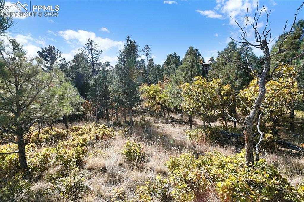 Image 16 of 19: Other