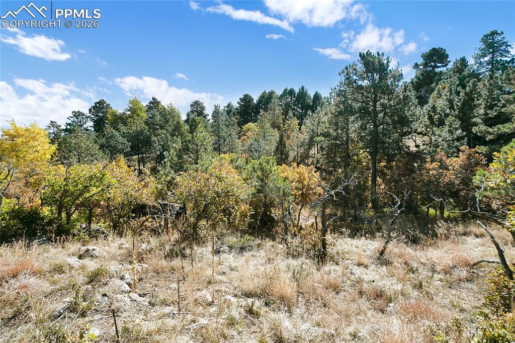 Image 17 of 19: Other