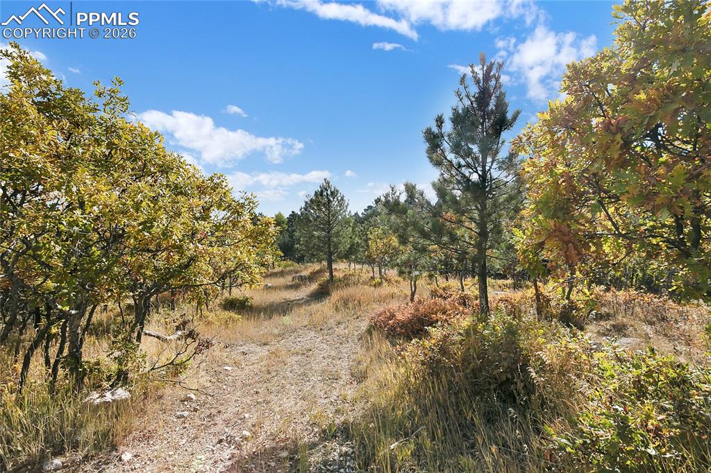 Image 6 of 19: Other