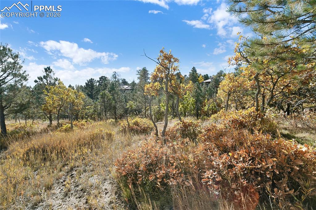 Image 8 of 19: Other