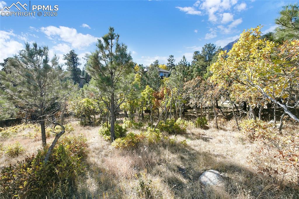 Image 9 of 19: Other