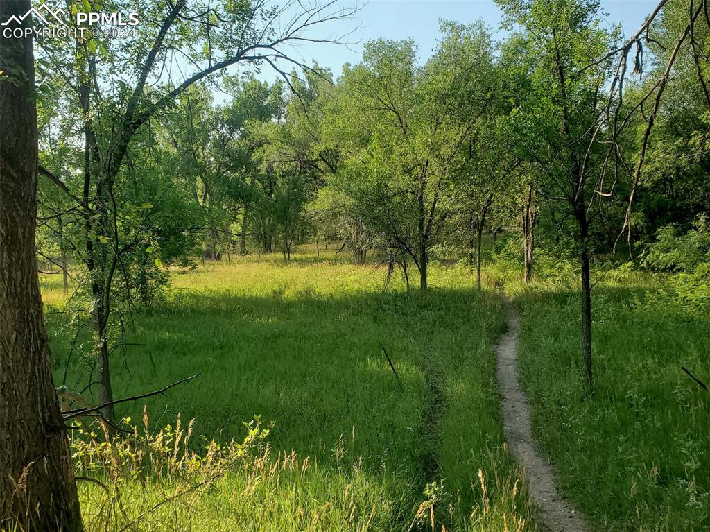 Image 10 of 20: The Meadow!