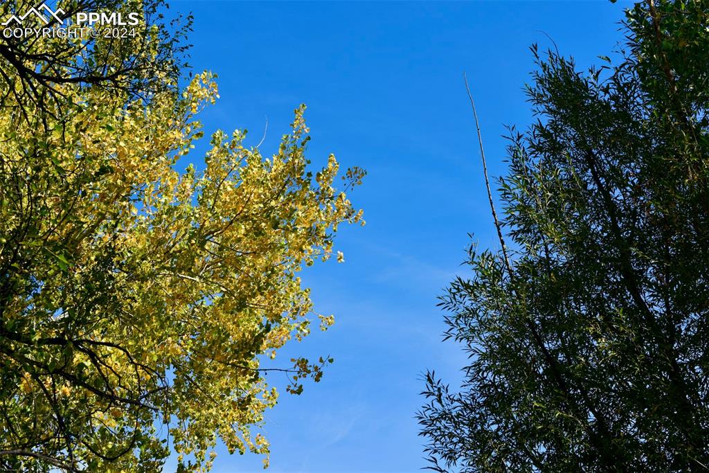 Image 14 of 20: Look no further for fall colors