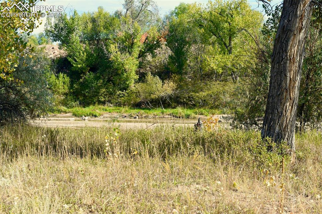 Image 15 of 20: View of nature