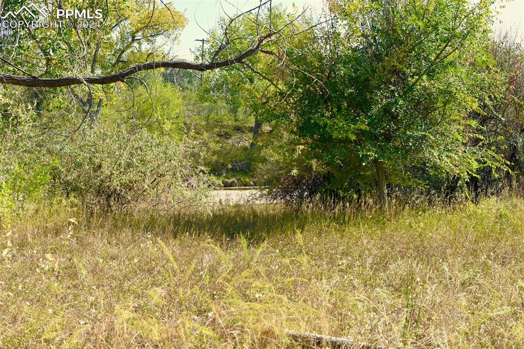 Image 16 of 20: View of nature