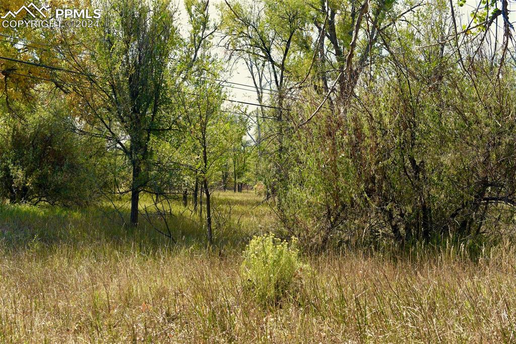 Image 17 of 20: View of landscape