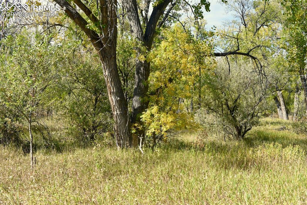 Image 18 of 20: View of landscape