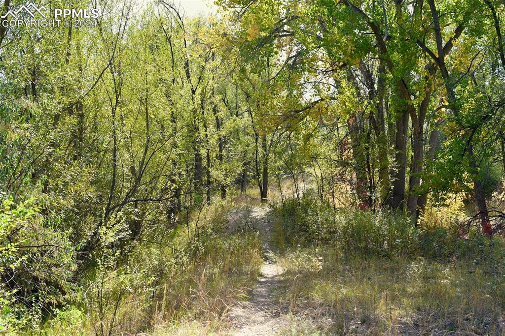 Image 19 of 20: View of landscape