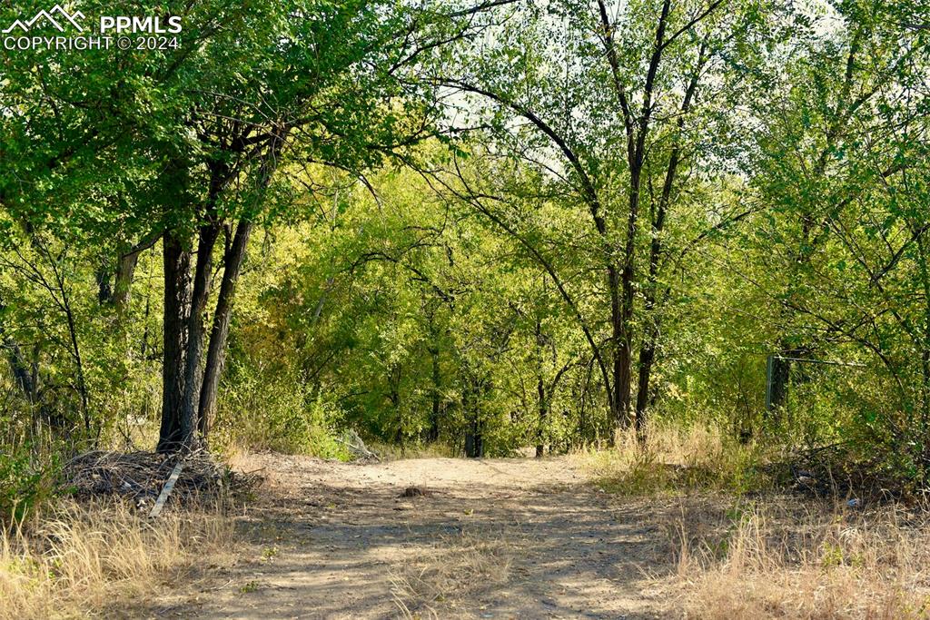 Image 2 of 20: Entry into the Property from Crest