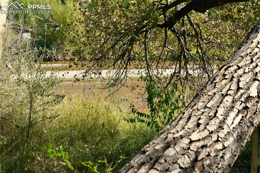 Image 8 of 20: View of local wilderness