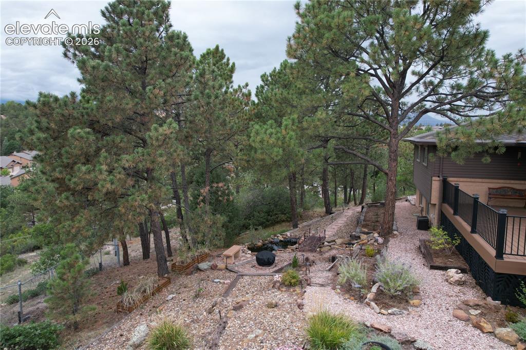 Image 8 of 50: Yard