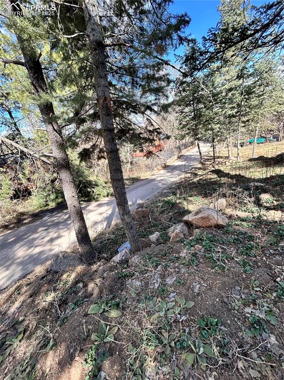 Image 5 of 14: View of yard