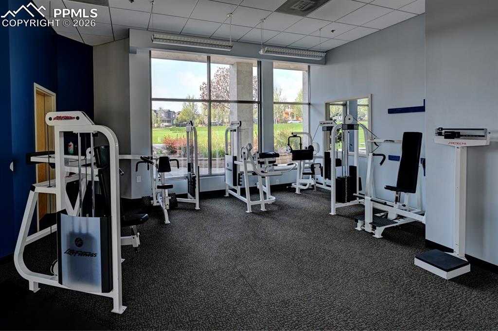Image 31 of 33: Fitness center at The Exchange with a variety of equipment for everyday wor