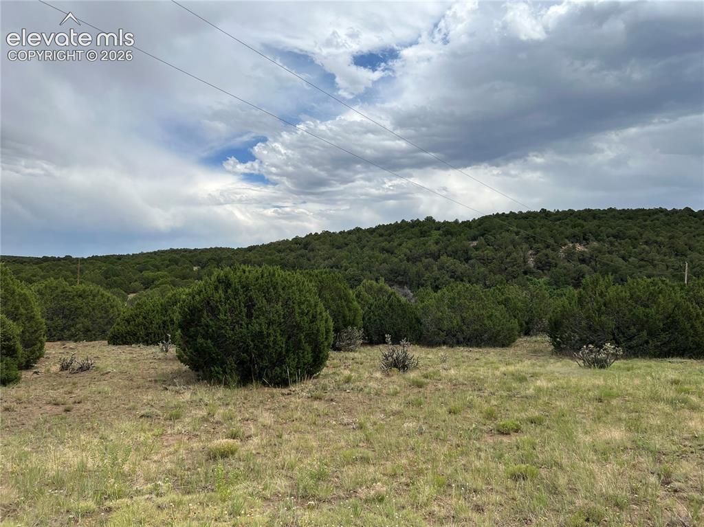 Image 3 of 4: View from road looking across property