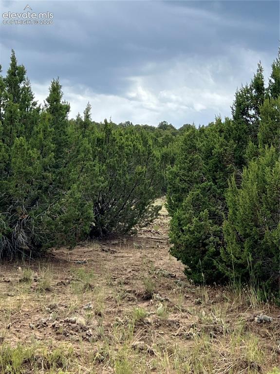 Image 4 of 4: View from road looking across property