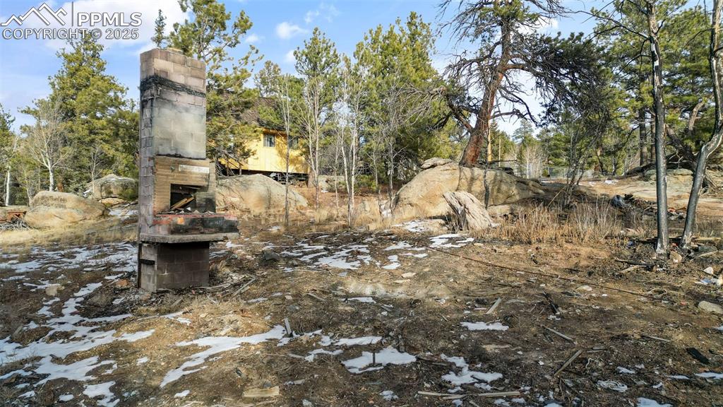 Image 11 of 22: Yard