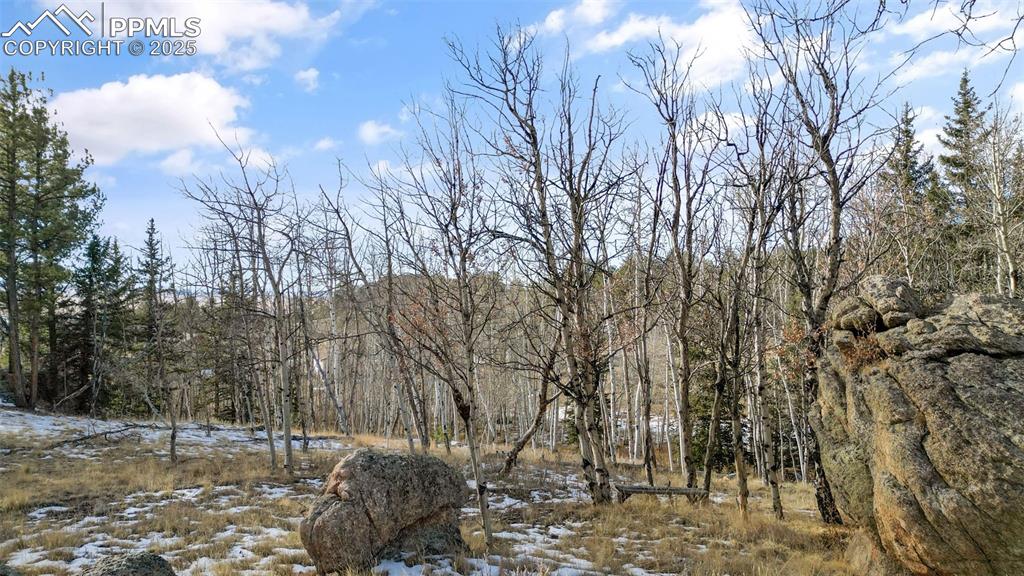 Image 16 of 22: Other