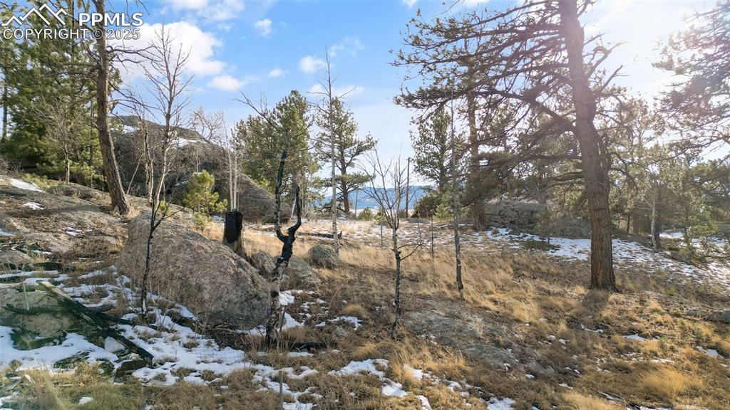 Image 17 of 22: Other