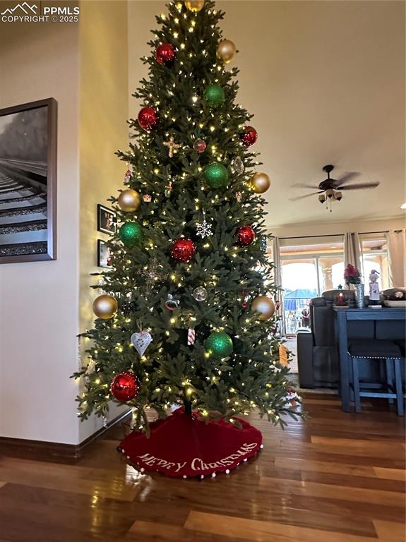 Image 15 of 50: Other