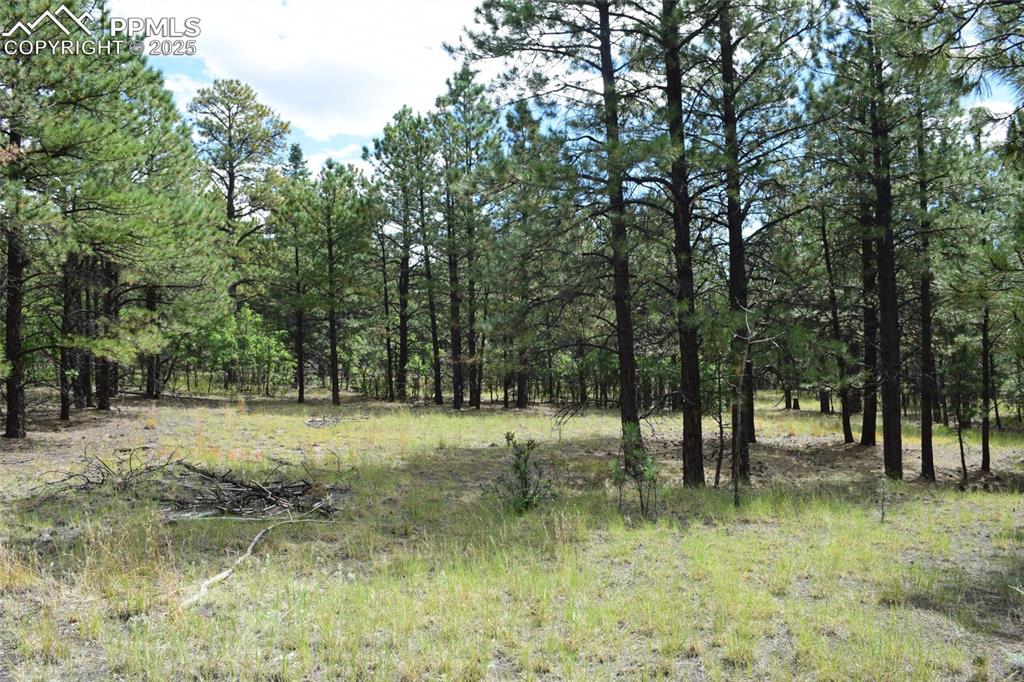 Image 3 of 11: Other