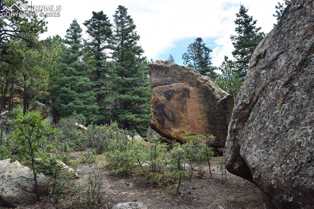 Image 4 of 11: Other