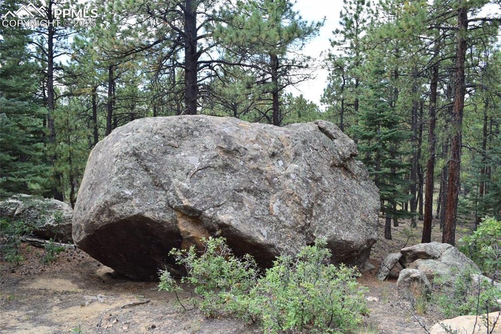 Image 6 of 11: Other