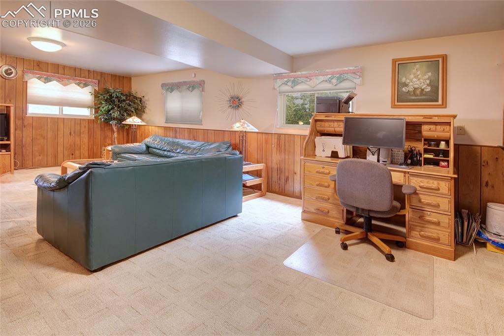 Image 26 of 33: Carpeted room featuring wood paneling, light-colored walls, and two windows